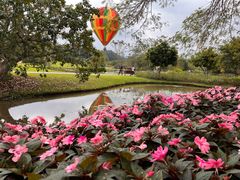 -中国科学院西双版纳热带植物园