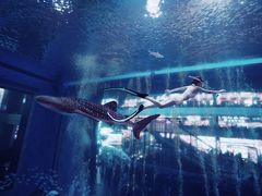 -成都浩海立方海洋公园