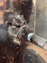 -Zoolung Zoolung动物主题公园(海信广场店)