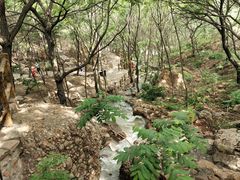 -山叶口景区