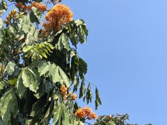 -广东花都湖国家湿地公园