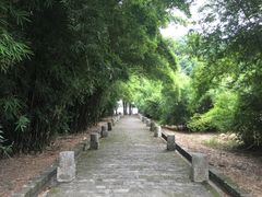 景点-羊楼洞
