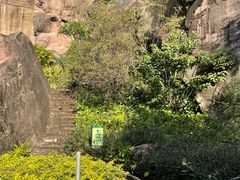 -广州莲花山旅游区