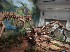 -自贡恐龙博物馆