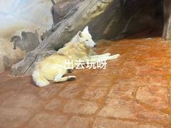 -海合安武汉极地海洋公园
