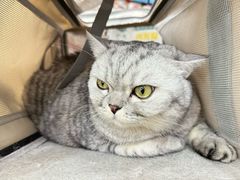 -瑞鹏宠物医院·微创内窥镜·骨外科·牙科(翠竹分院)