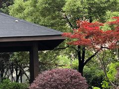 -儒之堂足道·SPA·推拿(莫干山路店)