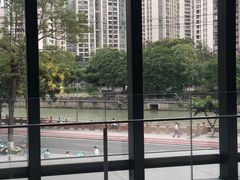 -四川大学博物馆