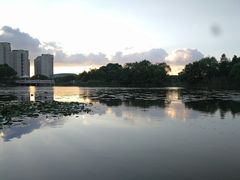-新江湾城公园