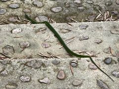 -千泷沟大瀑布旅游区