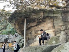 -麦考利夫人座椅