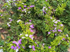 -成都中医药大学(温江校区)