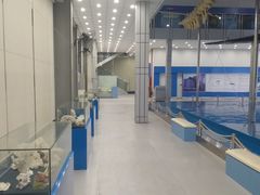 -上海海洋大学鱼文化博物馆(军工路校区)