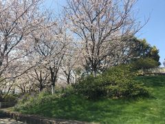 -白塔公园-儿童游乐园