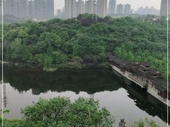 -重庆彩云湖湿地公园