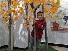 -古柏渡飞黄旅游区