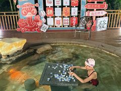 -天目湖涵田半山温泉