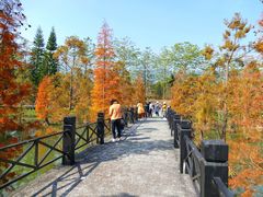 -田野绿世界