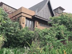 -三亚湾红树林度假世界(木棉酒店)