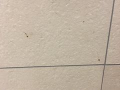-大理洱海龙湾假日酒店