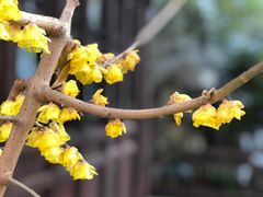 -苏州文旅花间堂·探花府酒店