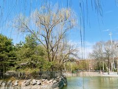 -黄村公园