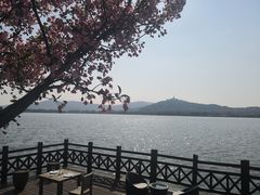 -望海·帆船主题咖啡厅•品茗下午茶(石湖景区店)
