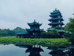 -桂湖森林公园