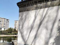 -团结湖公园