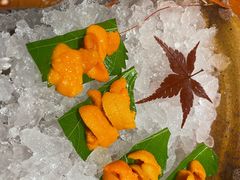-月龍吟(朝龙汇店)