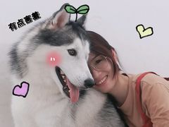 -星多哈·狗咖·拼豆·咖啡