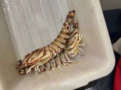 -珍记海鲜酒家(嵩山路店)