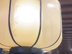 -甘家界牌柠檬鸭(青山店)