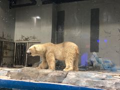-大连圣亚海洋世界