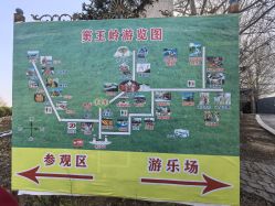 -窦王岭景区游乐场