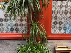 -阿西娅食府(中关村店)