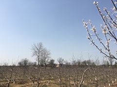-习仲勋故居