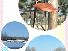 -大兴滨河森林公园