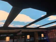 -野妹火锅(龙岗店)