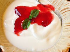 蔓越莓玫瑰花酱酸奶-TamTam