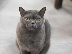 -富哥大排档(防城港企沙镇店)