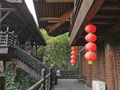 -大唐贡茶院