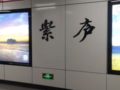 -紫庐(地铁站)