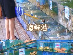 -范饭椰林川湘味海鲜·椰子鸡(三亚湾椰梦长廊店)
