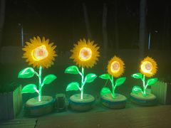 -枫花园汽车电影院(朝阳公园店)