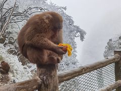 -峨眉山风景名胜区