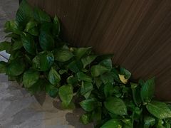 -怡心阁·水疗SPA(天府广场店)