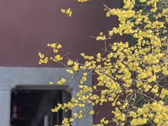 -钱王祠