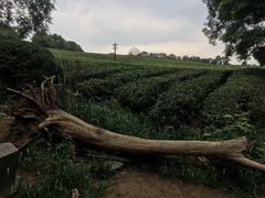 -南京市江宁方山