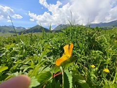-新疆那拉提国家旅游度假区
